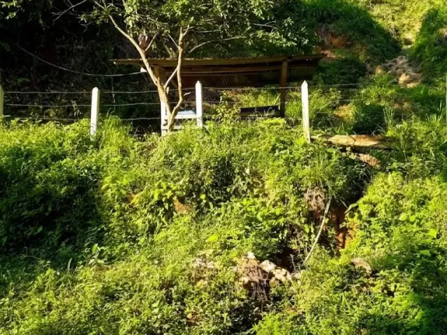 52 Acres (21 Hectares) San Carlos, Antioquia. Near Lakes & 2026 Paved Road.