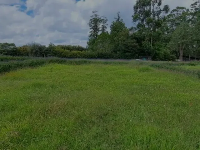 Lote Residencial en Rionegro en V. Chipre