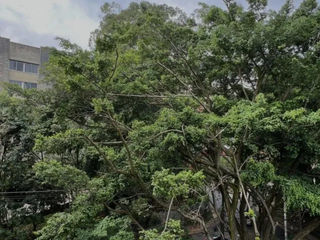 Apartamento en Medellín en Milla de oro