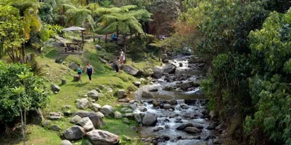 Explore Medellín: 5 Unmissable Tourist Spots for an Unforgettable Trip