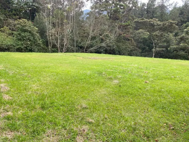 2388 m² Lot in Alto de Las Palmas, Medellín