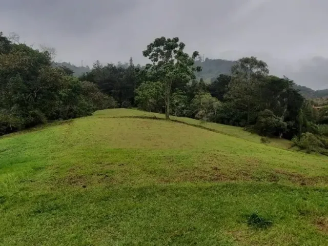 Lote Residencial en Rionegro en V. El Capiro (Rionegro)