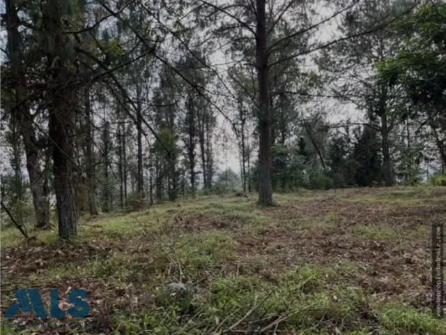 Lote Residencial en Rionegro en V. La Convención 