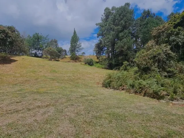 Lote Residencial en Envigado en Alto de las Palmas