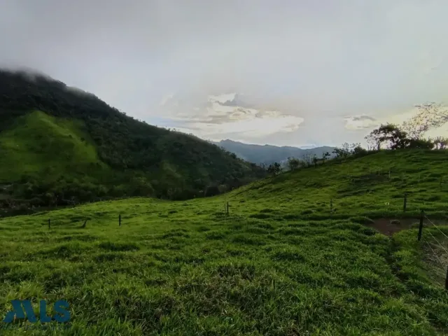 Lote Residencial en Tarso en Cauca Viejo
