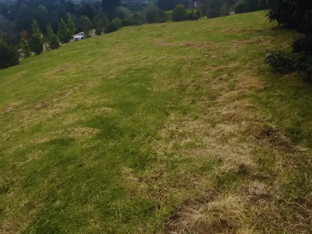 Lote Residencial en Envigado en Alto de las Palmas