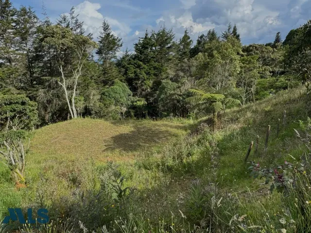 Lote Residencial en Envigado en Alto de las Palmas