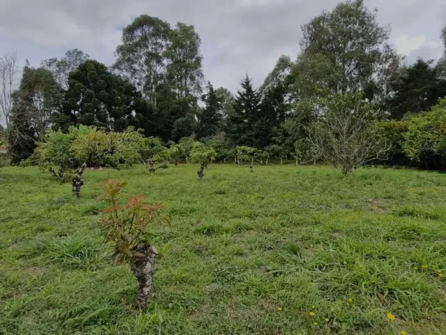 Lote Residencial en Rionegro en Aeropuerto