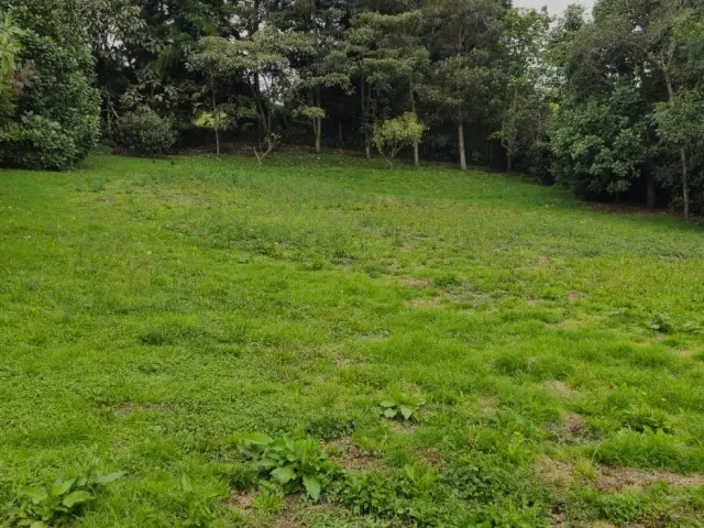 Lote Residencial en Envigado en Alto de las Palmas