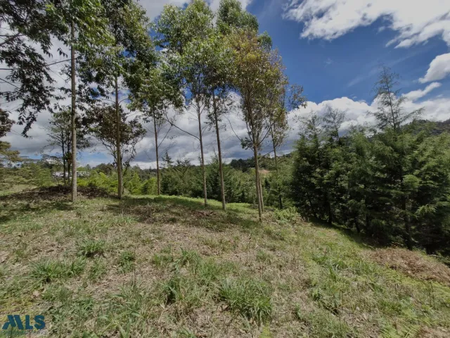 Lote Residencial en Rionegro en vereda Higueron