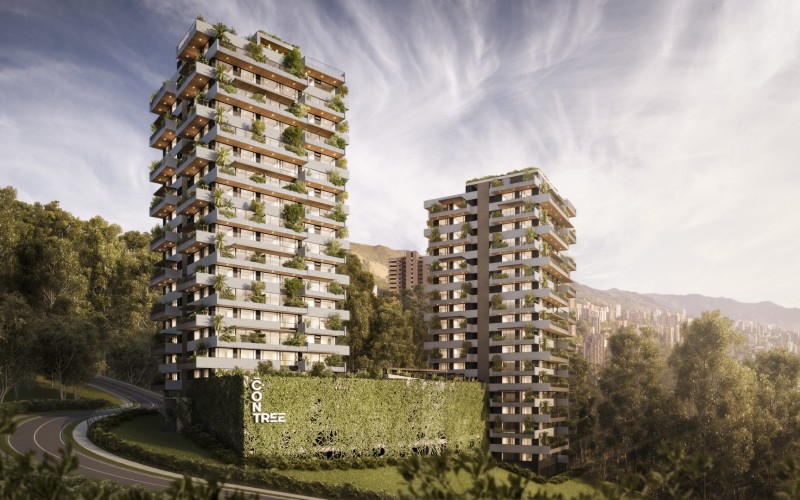 Contree Las Palmas