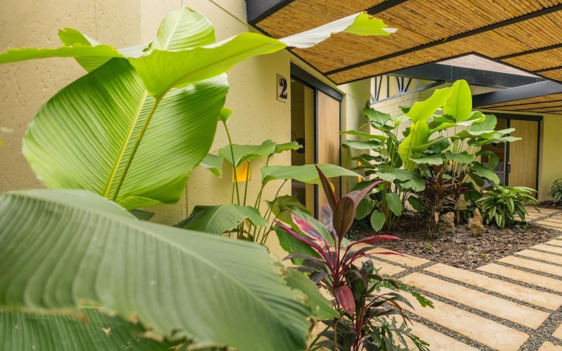 Luxury Living or Investment: Your San Jerónimo Oasis