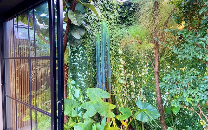 DAILY RENTALS. A Perfect Blend of Luxury and Serenity: Invest in Your Envigado Duplex Retreat