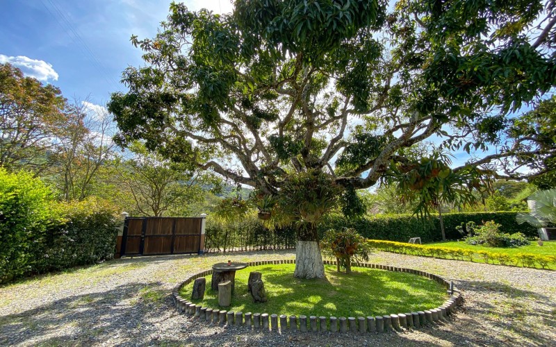 Paradise in Girardota: Finca Villa Al’ser – Luxury, Nature & Investment Potential (3,820 m²)