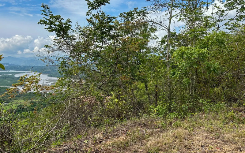 Land for Sale in Olaya