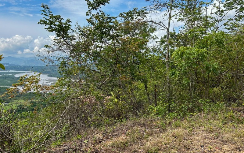 Land for Sale in Olaya