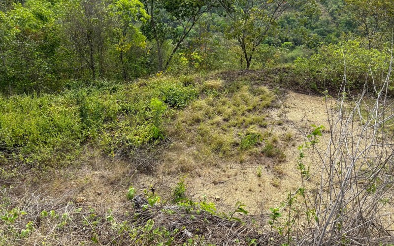 Land for Sale in Olaya