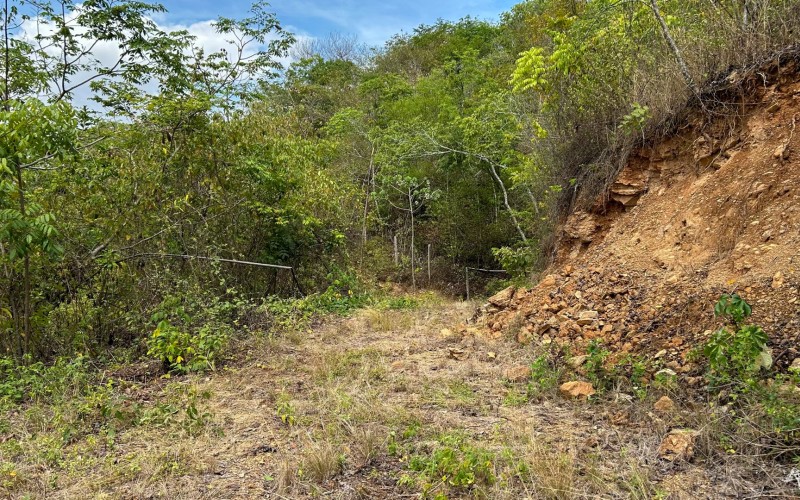 Land for Sale in Olaya