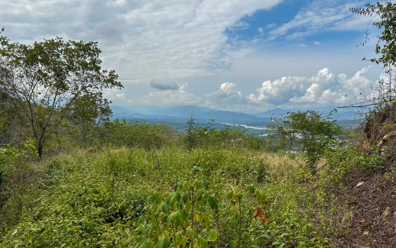 Land for Sale in Olaya