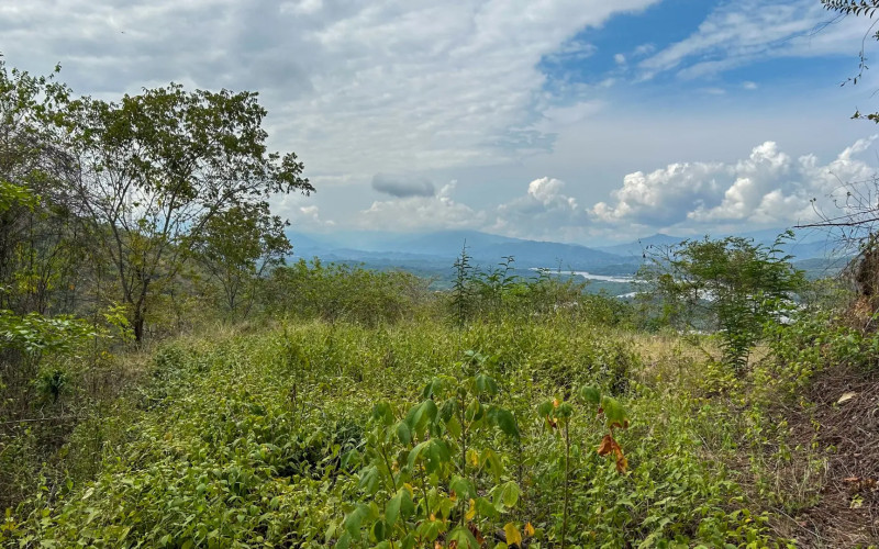 Land for Sale in Olaya