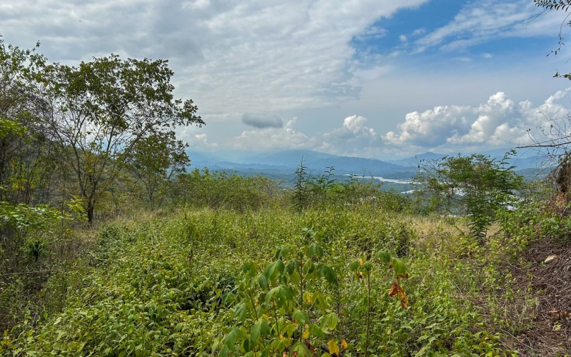 Land for Sale in Olaya