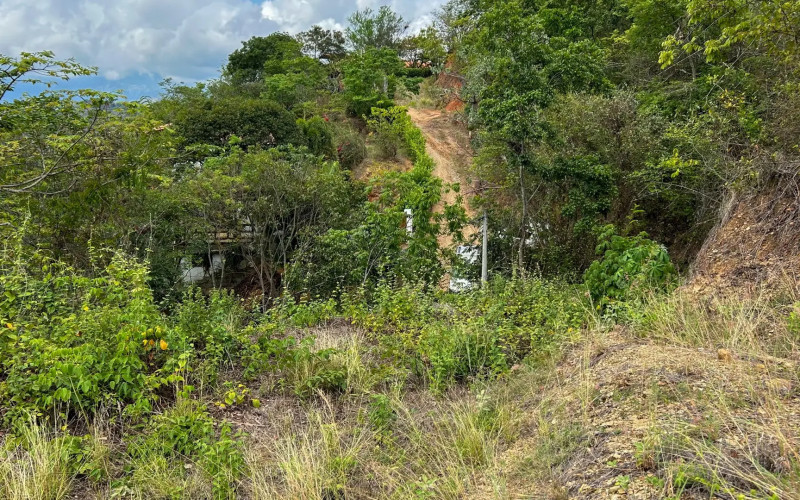 Land for Sale in Olaya