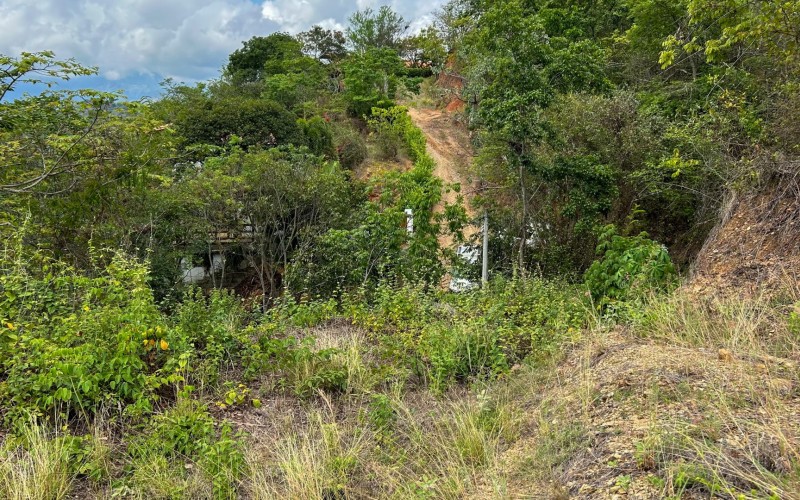 Land for Sale in Olaya