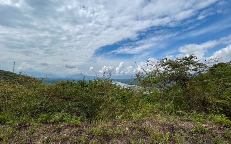 Land for Sale in Olaya