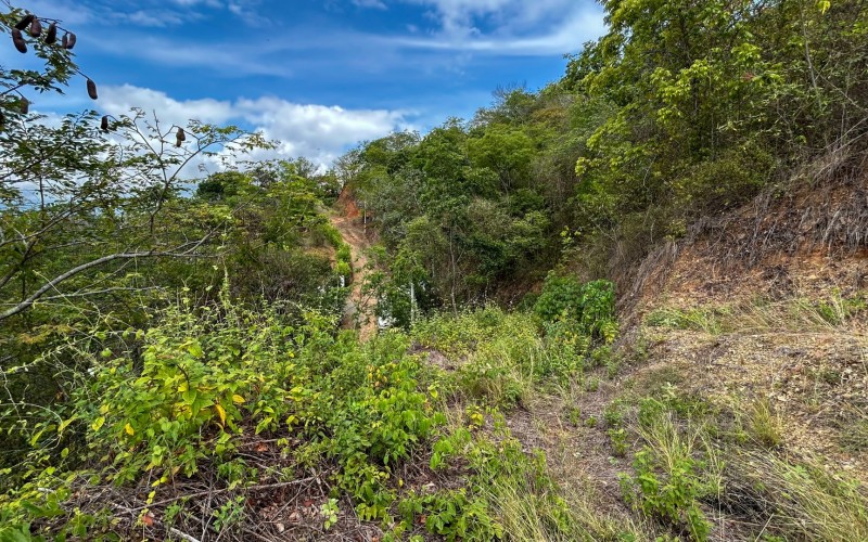 Land for Sale in Olaya