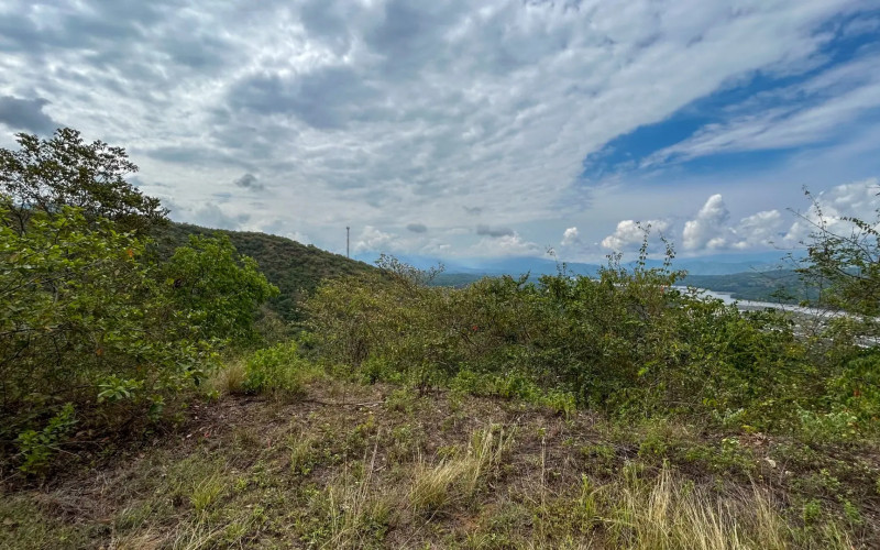 Land for Sale in Olaya