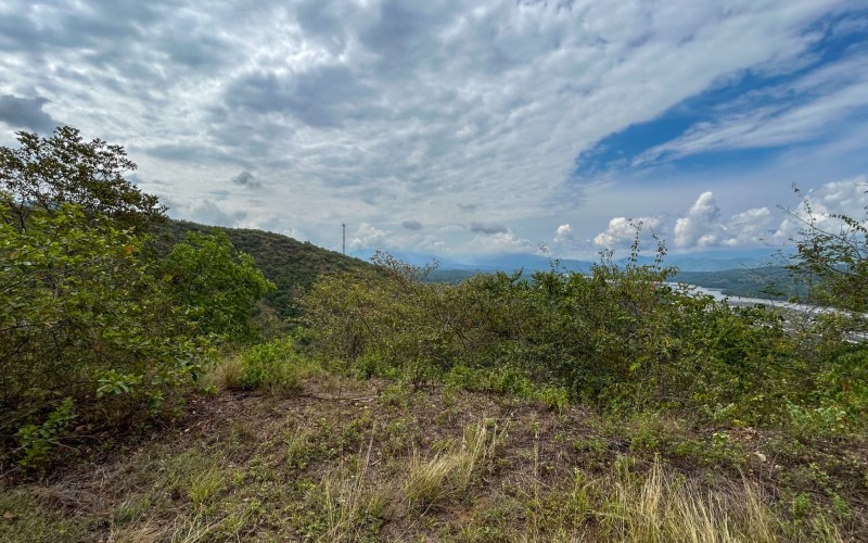 Land for Sale in Olaya