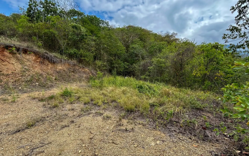 Land for Sale in Olaya