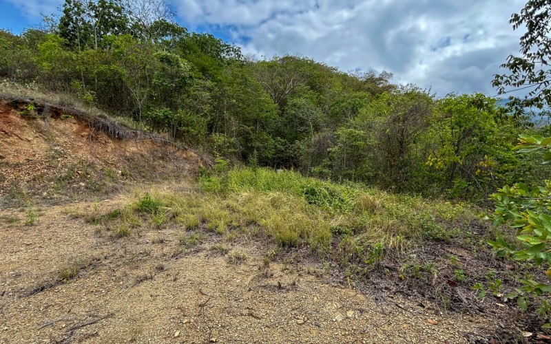 Land for Sale in Olaya