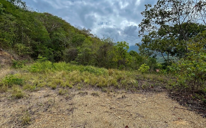 Land for Sale in Olaya