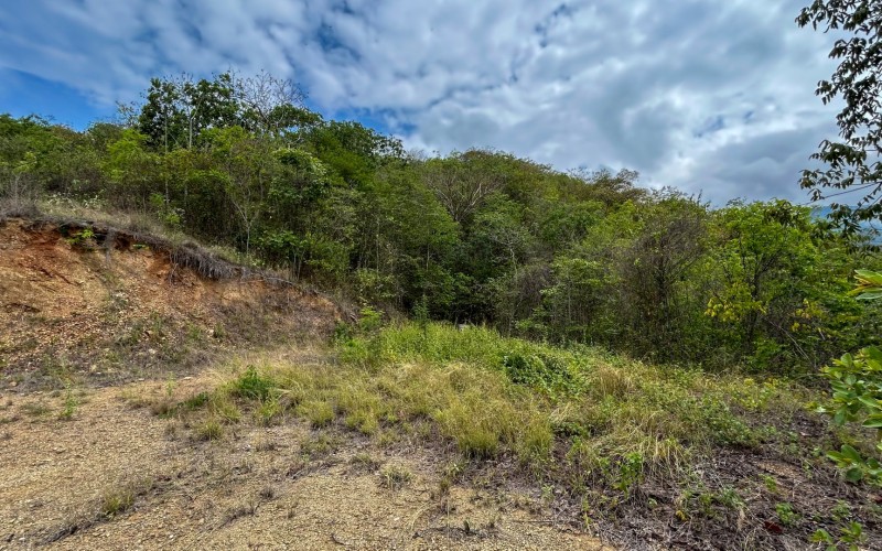 Land for Sale in Olaya