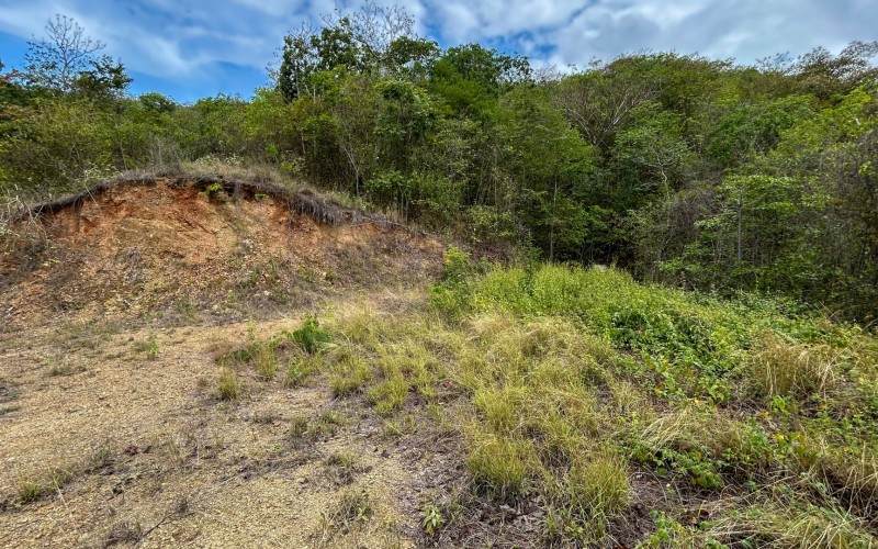Land for Sale in Olaya