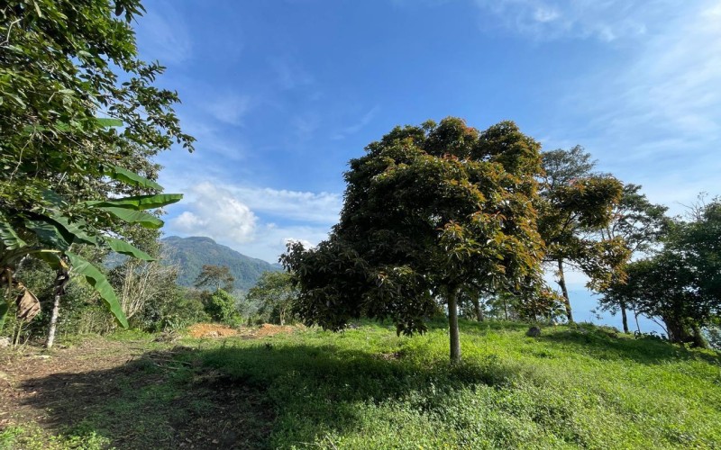 Lote suburbano residencial en Támesis Antioquia