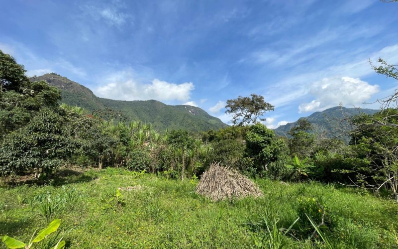 Lote suburbano residencial en Támesis Antioquia