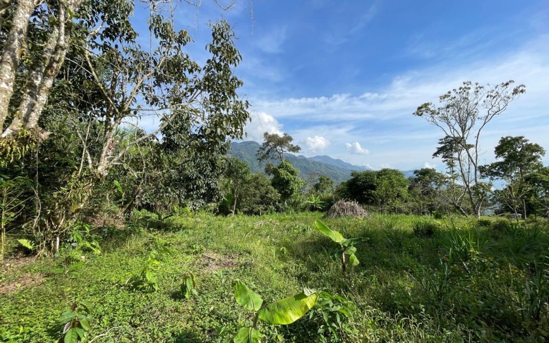 Lote suburbano residencial en Támesis Antioquia