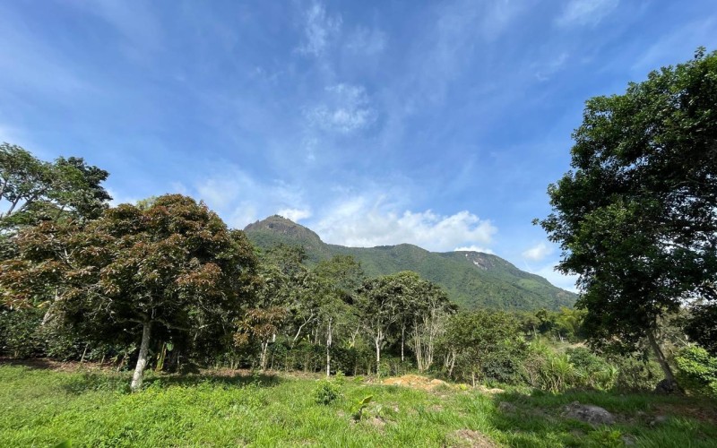 Lote suburbano residencial en Támesis Antioquia