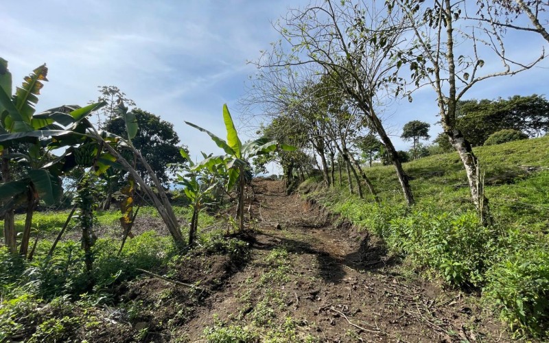 Lote suburbano residencial en Támesis Antioquia