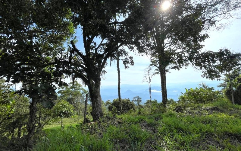 Lote suburbano residencial en Támesis Antioquia