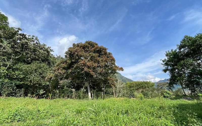 Lote suburbano residencial en Támesis Antioquia