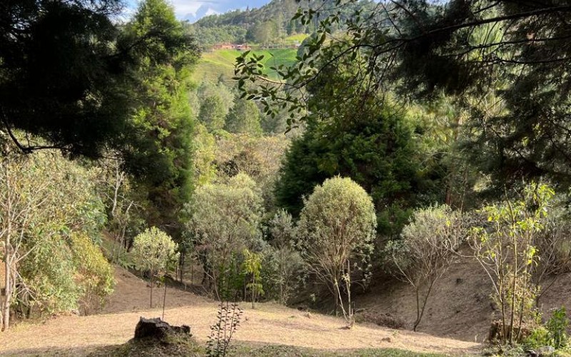Terreno independiente en Guarne