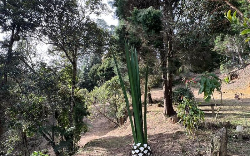 Terreno independiente en Guarne