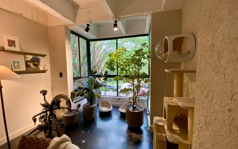 Renovated Apartment in El Poblado, Medellín | 104m² | 1 Bedroom | Pool & Gym