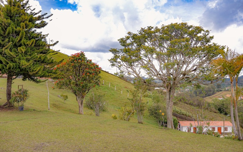 Casa - Lote en Venta