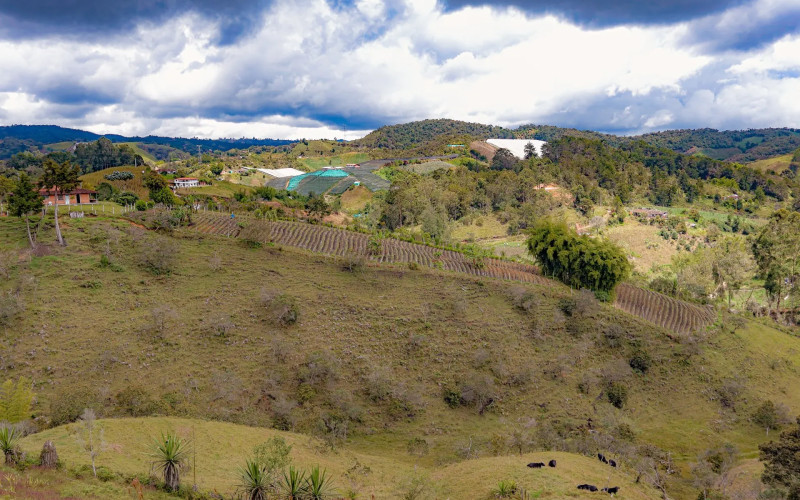 Casa - Lote en Venta