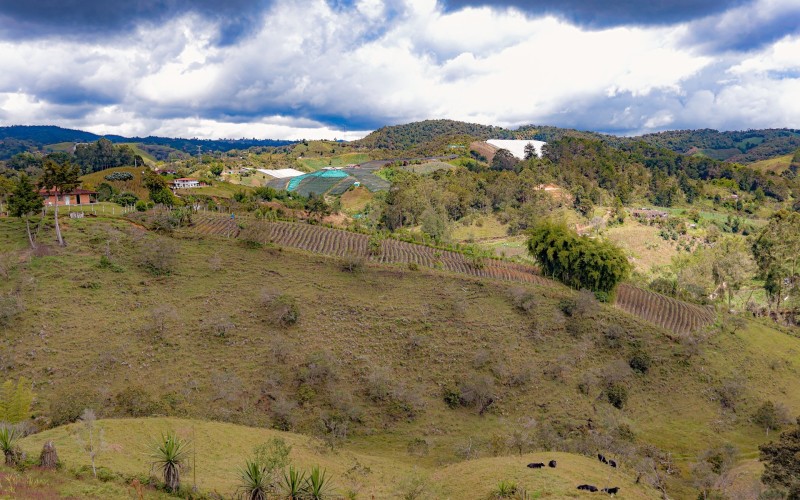 Casa - Lote en Venta