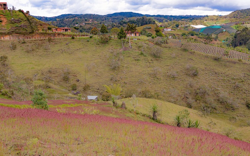 Casa - Lote en Venta